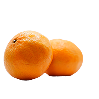 Mandarina Grande 1PZ