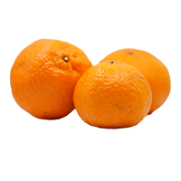 Mandarina Chica 1PZ
