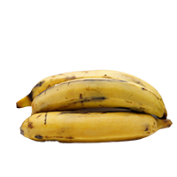 Banana Platano Macho 1LB