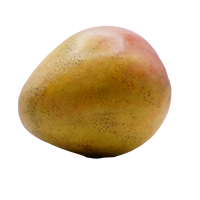 Mango Indio 1PZ