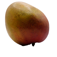 Mango Hadden Tommy Grande 7pz 1CS 