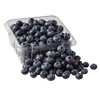 Blueberries 12pz 1CS 